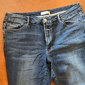 Curvy Vervet denim- size 18